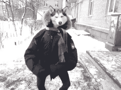 jutro wolne :D