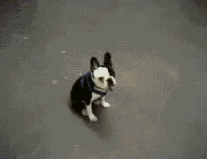 miłość