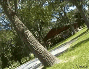Zrób to sam: Matrix