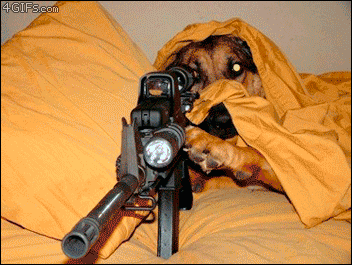 Bodyguard!