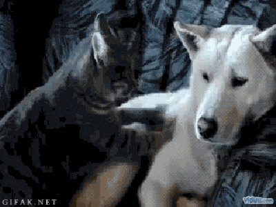 Osobisty masażysta!