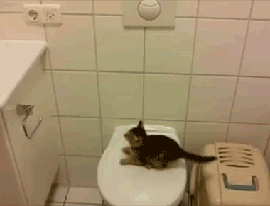 Nie martw się! Już niedługo doskoczysz...